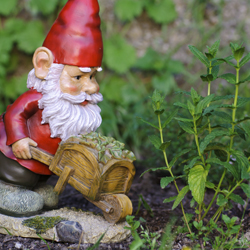 Mini Garden