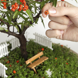 Mini Garden