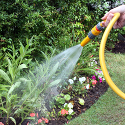 Watering