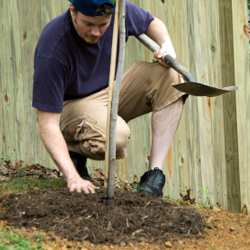 Planting Basic Trees & Shrubs