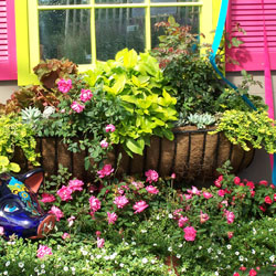 Window Box