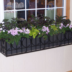 Window Box