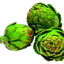 Artichoke