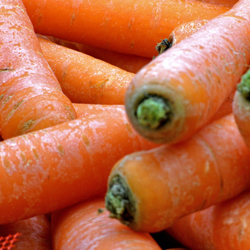 Carrots