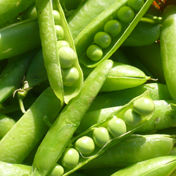 Peas