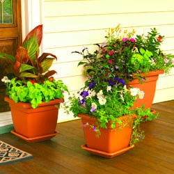 Windowbox