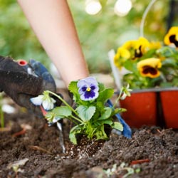 enabled gardener