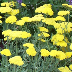 Long landscape example 1