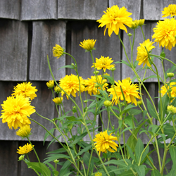 Long landscape example 2