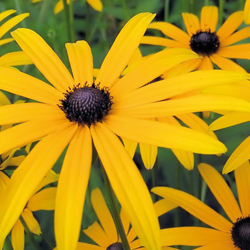 Long landscape example 4